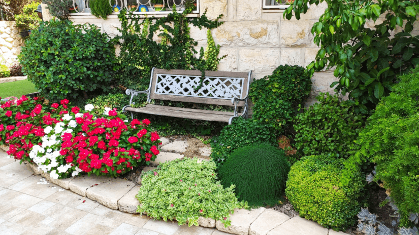 תכנון והקמת גינה 6